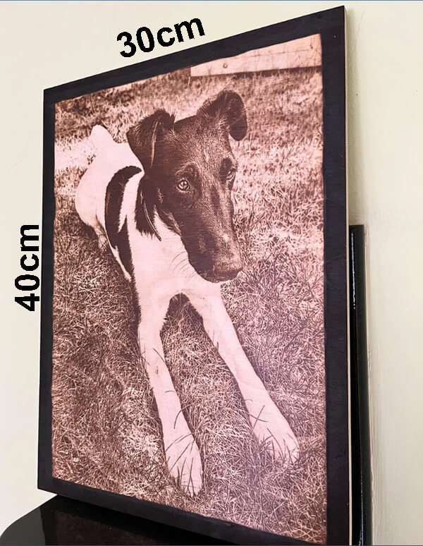 40x30cm Burnt Art on Birch Wood